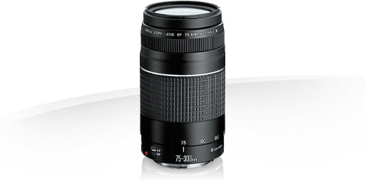 Lente Canon 75-300mm Semi Nova – A.s Nascimento