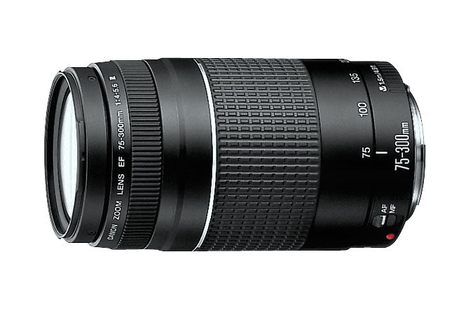 Lente Canon 75-300mm Semi Nova – A.s Nascimento